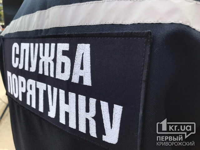 Спасатели обезвредили снаряд, найденный в Криворожском районе