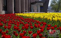 Фото новости