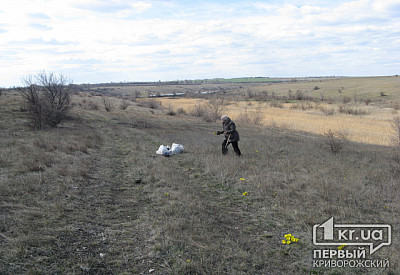 Фото к новости Главное фото новости