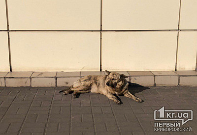 Фото к новости Главное фото новости