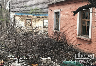 Фото к новости Главное фото новости
