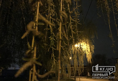 Фото к новости Главное фото новости