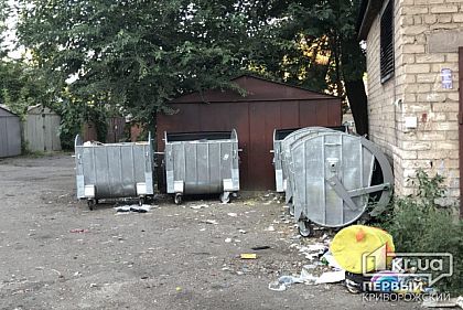 Борьба с отходами: в Кривом Роге появятся 140 новых контейнерных систем