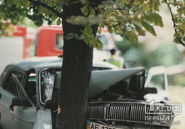 В Кривом Роге водитель ГАЗ не справился с управлением и врезался в дерево