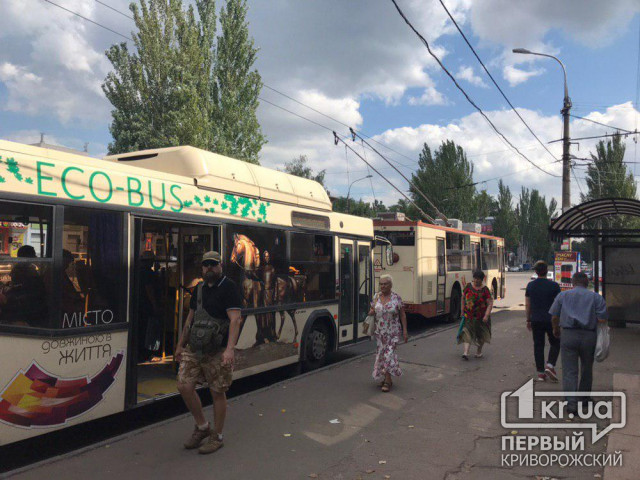 В отдаленные районы Кривого Рога запустят новые маршруты общественного транспорта