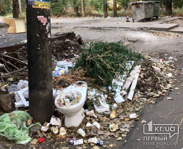 В одном из дворов Кривого Рога в 3-х метрах от мусорных баков образовалась свалка бытовых отходов