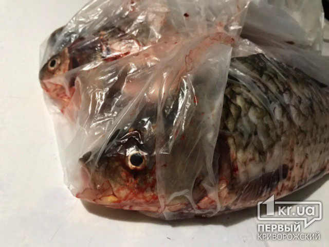 Почти 100 тысяч гривен ущерба в августе нанесли рыболовы в Днепропетровской области