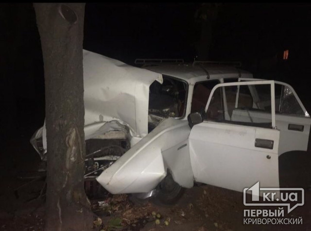 В Кривом Роге скончалась пассажирка «Москвича», который врезался в дерево, - полиция ищет свидетелей ДТП