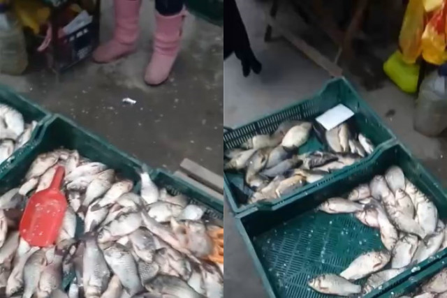 В Кривом Роге оштрафовали женщину, которая незаконно продавала рыбу