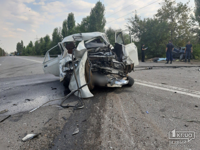 Полиция разыскивает свидетелей смертельного ДТП на Никопольском шоссе в Кривом Роге