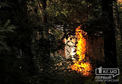 Фото к новости Главное фото новости