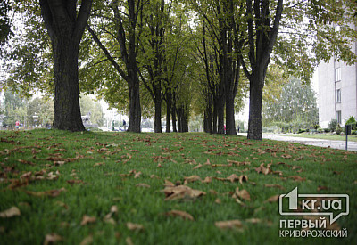 Фото к новости Главное фото новости