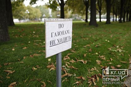 Газоны, по которым криворожанам запретили ходить, обошлись почти в 800 тысяч гривен