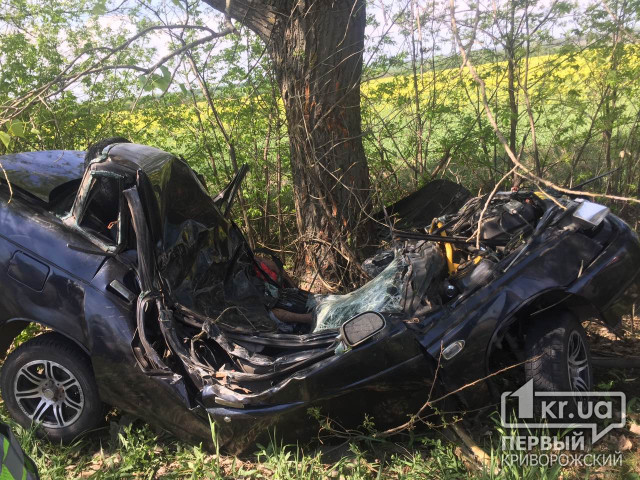 Не справился с управлением и врезался в дерево: на Днепропетровщине в результате ДТП погиб мужчина