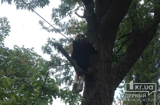 Криворожские спасатели сняли ребёнка с дерева