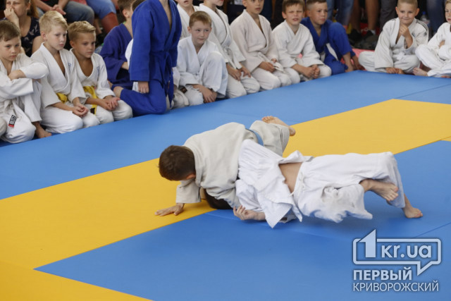 Малыши-крепыши с разных городов  Украины поборолись за медали Всеукраинского турнира по дзюдо в Кривом Роге