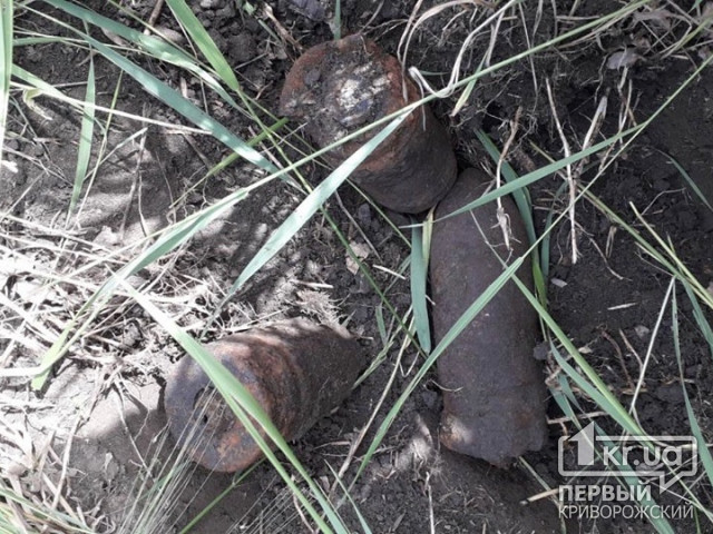 В Криворожском районе обнаружены 3 взрывоопасных снаряда