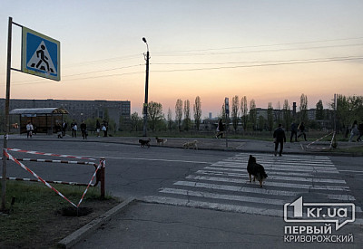 Фото к новости Главное фото новости