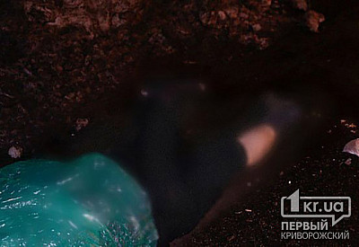 Фото к новости Главное фото новости