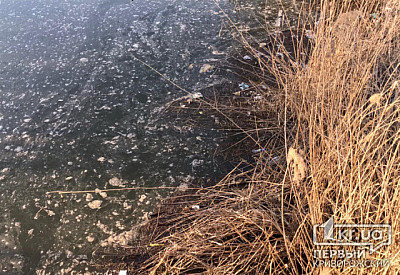 Фото к новости Главное фото новости