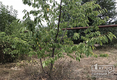 Фото к новости Главное фото новости