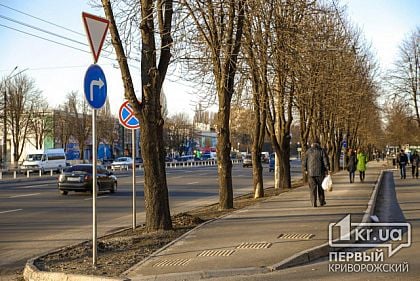 Обустроить все пешеходные переходы в Кривом Роге съездами для колясок, - петиция