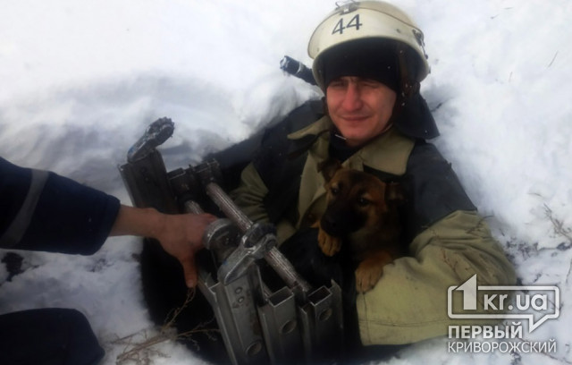 В Днепропетровской области пожарные спасли щенка, который упал в открытый колодец