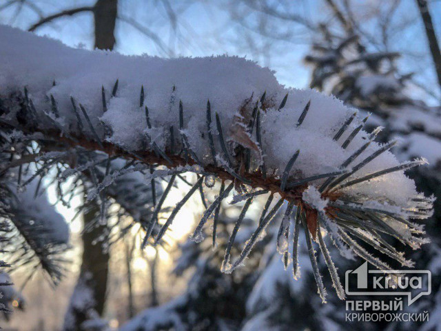 Снегопады и туман: в Днепропетровской области объявлено штормовое предупреждение