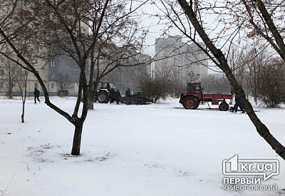 Фото к новости Главное фото новости