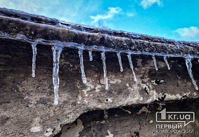 Фото к новости Главное фото новости