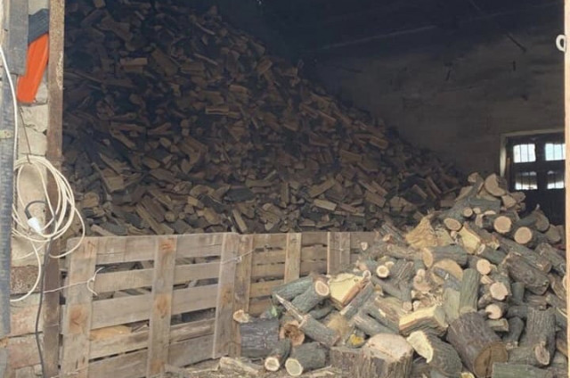 На криворожском предприятии обнаружили незаконный склад древесины