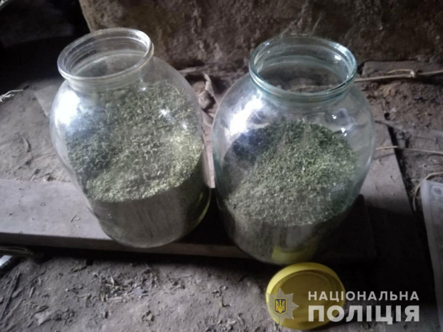 Почти 8 килограмм конопли изъяли правохранители из дома в селе под Кривым Рогом