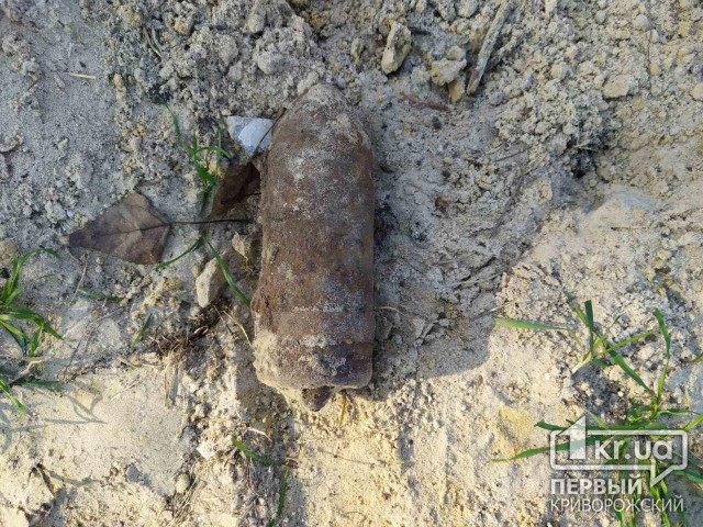 В Криворожском районе мужчина собирал грибы, а нашел снаряд