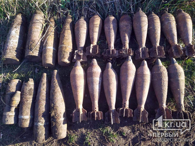 В лесополосе недалеко от Кривого Рога обнаружено 26 взрывоопасных предметов