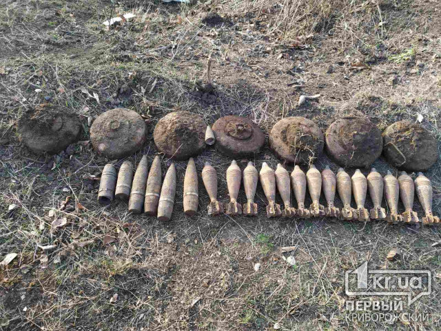 В лесополосе возле Кривого Рога обнаружен схрон с боеприпасами времен Второй Мировой войны