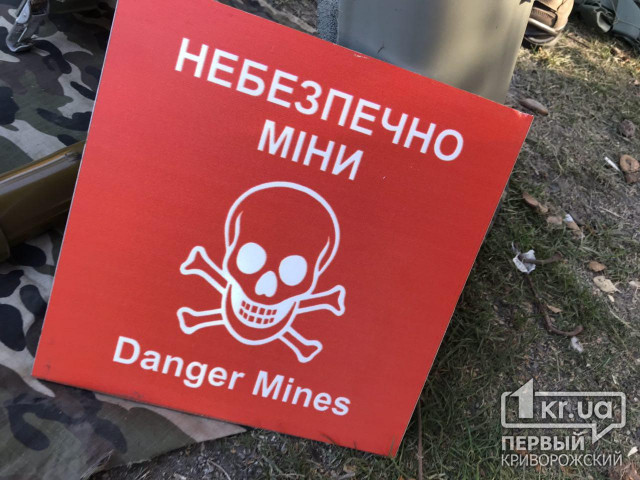 Житель Пятихатского района собирал дрова, а обнаружил почти сотню боеприпасов