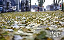 Фото новости