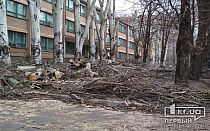 Фото новости