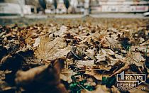 Фото новости