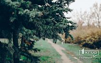 Фото новости