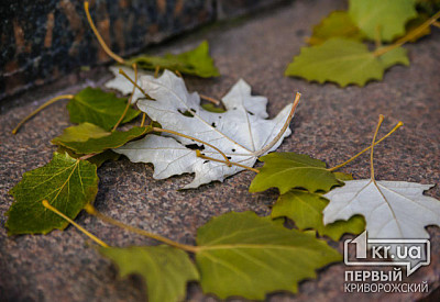 Фото к новости Главное фото новости
