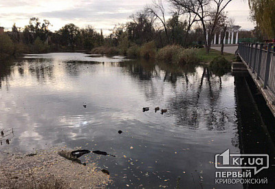 Фото к новости Главное фото новости