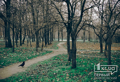 Фото к новости Главное фото новости