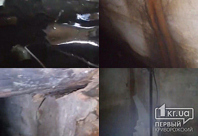 Главное фото новости