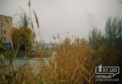 Фото к новости Главное фото новости
