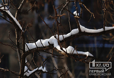 Фото к новости Главное фото новости
