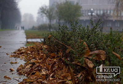 Фото к новости Главное фото новости
