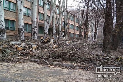 Возле криворожской больницы несколько дней не убирают сухостой