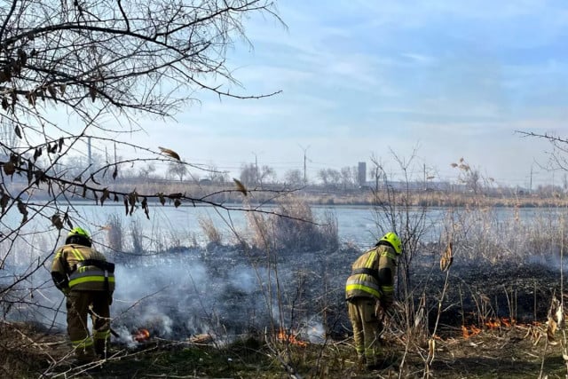 На Дніпропетровщині за добу ліквідовано 71 пожежу в екосистемах