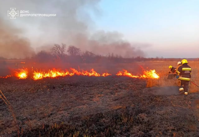 Горіли суха трава та сміття: минулої доби в екосистемах Дніпропетровщини загасили 67 пожеж